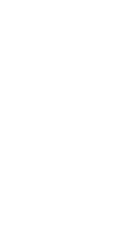 Perito Judicial